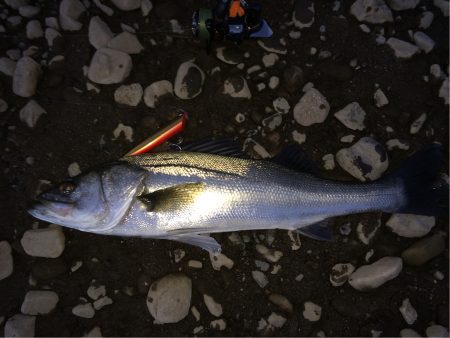 少しサイズダウン